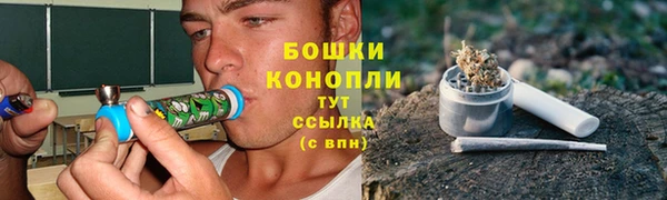 молекула духа Балабаново