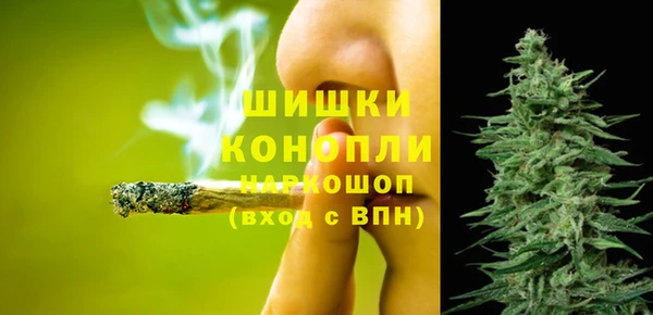 молекула духа Балахна