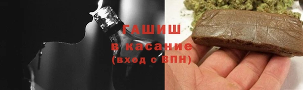 гидра Аркадак