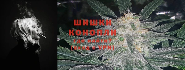 молекула духа Балахна